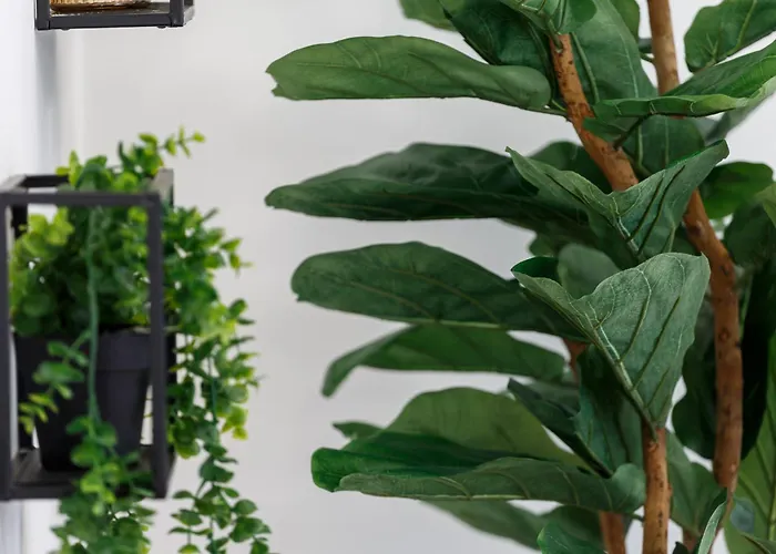 Cozy Downtown Loft In Lägenhet Bradford (West Yorkshire)